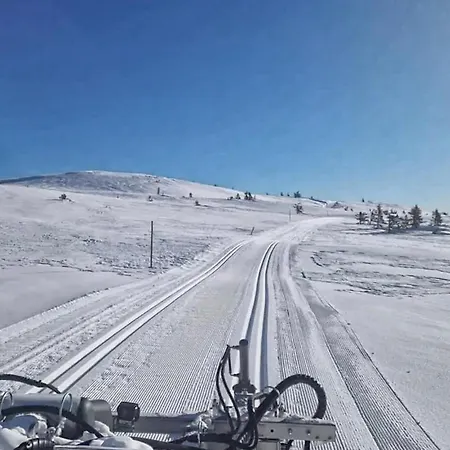 Beautiful In Kongsberg