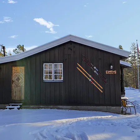 Beautiful In Kongsberg Svene